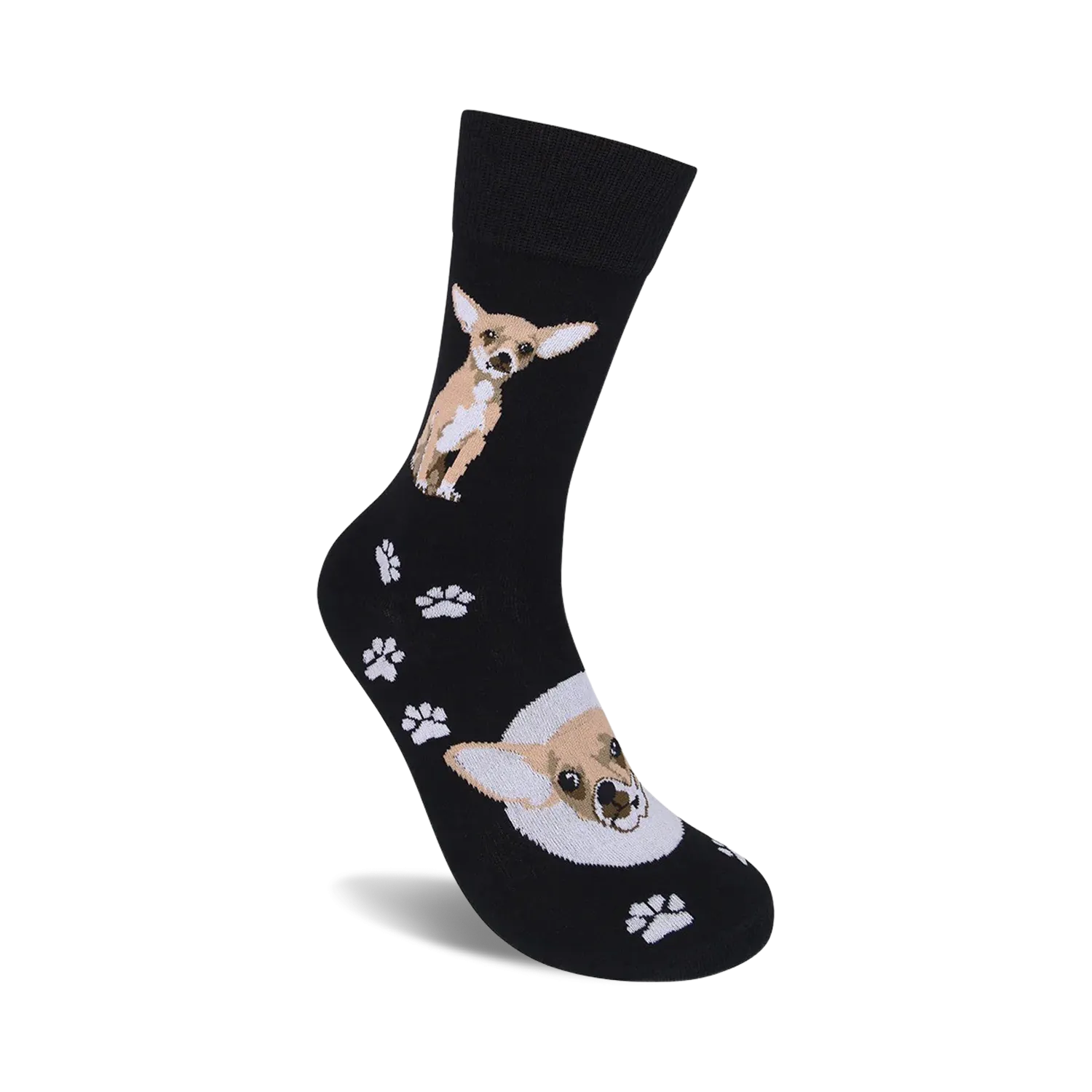 Chihuahua